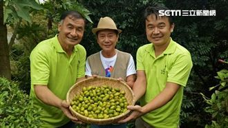 《草地狀元》見證台灣產業爆發創新力