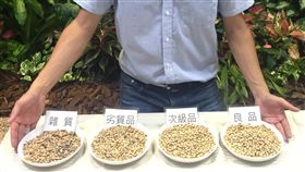 國產二代大豆選別機　媲美日製精準近乎完美農委會花蓮區農改場助理研究員張光華研發第二代大豆選別機，每小時可完成200公斤的選別作業，分出良品、次級品、劣品，並挑出雜質，精準度達99%，媲美日製。中央社記者楊淑閔攝　108年6月21日