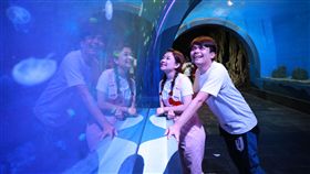 業配、廠商提供