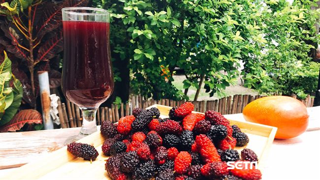 南投最狂飲品　20週年邀您暢飲