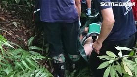 虎頭蜂,採筍,過敏,新北,翻攝畫面