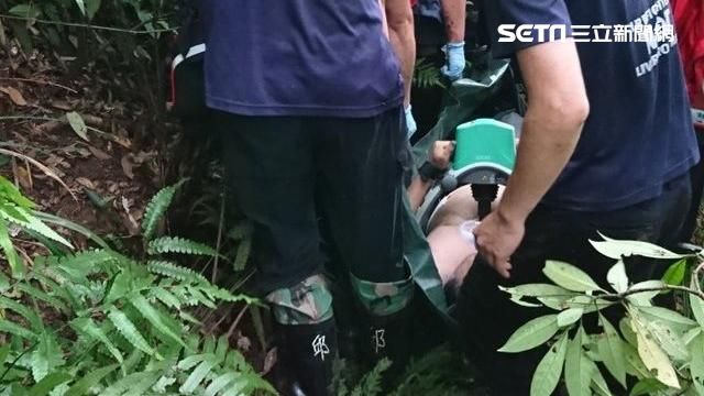夫妻採筍遇蜂襲擊　他喊快跑仍被螫亡
