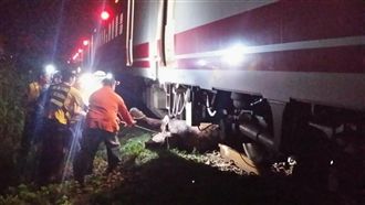 普悠瑪撞4牛！旅客半夜3點才到台東