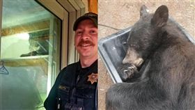 黑熊,熊,睡覺,打哈欠,入侵,麻醉,破壞,睡午覺,美國,闖空門,竊賊 圖／翻攝自推特