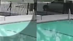 試膽,遊戲,車禍,意外,輾斃,休旅車,捉迷藏,美國,閃避,　圖／翻攝自YouTube