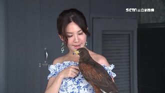 老鷹當寵物！美女生態師：撒嬌反差萌