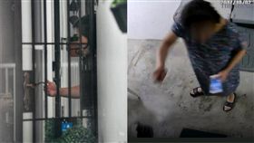 （圖／翻攝自中國報）新加波,鄰居,大媽,豬耳