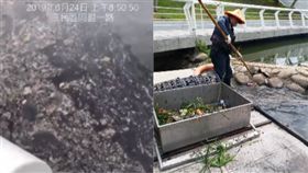 愛河骯髒及愛河清理,組合圖