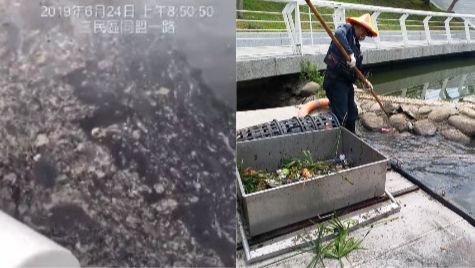 愛河又變色網酸如星冰樂　市府回應了