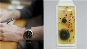 戴手錶對於現代人來說，不只是方便看時間，手錶更是一個時尚配件，許多民眾天天戴著手錶出門，卻從沒想過要清潔它，那配戴在手腕的手錶真的乾淨嗎？近日英國手錶公司「Tic Watches」就做出一項驚人研究，他們發現手錶錶帶上的含菌量，竟然比馬桶座高出「3.1倍」，讓不少民眾都難以置信！（右圖／翻攝自tic watches）