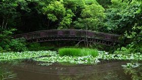 ▲奧萬大（圖／翻攝自臉書奧萬大情報站）