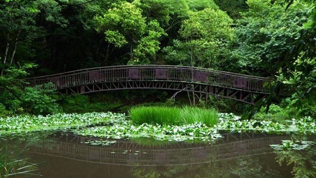 慶奧萬大25歲生日！入園銅板價優惠