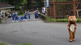 日本動物脫逃對策訓練。（圖／翻攝自推特@tobezooofficial）