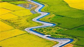 「黃金河稻」獨木舟新祕境曝光；圖／中華中划授權提供