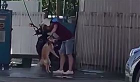 台中,柴犬,高壓水槍,騎士,動保處。翻攝自爆廢公社