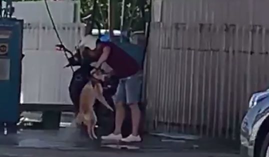 高壓水槍洗毛小孩　網友怒罵：沒人性