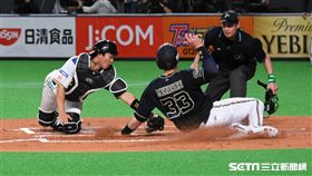 歐力士洋砲Joey Meneses華回本壘。（資料照／記者王怡翔攝影）