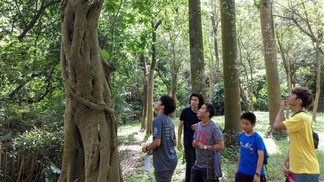 嘉義公園抓沙蜥　林管處調查護生態
