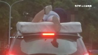 搏命搬家！大學生竟「趴車頂」載床墊