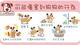 ▲以上幾種行為會傷害你的狗狗（圖／愛你寵物網lovepets）