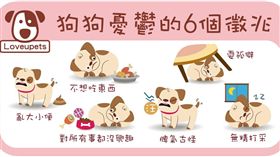 ▲發現汪汪憂鬱的六大徵兆（圖／愛你寵物網lovepets）