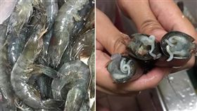 蝦子出現白色寄生蟲？新北市板橋一名女子表示，她日前到市場買冷凍蝦，沒想到蝦頭竟跑出好幾條白色的「詭異條狀物」，讓她嚇得在網路發文求救。照片曝光後，掀起網友熱議，紛紛直喊：「看起來好可怕！」（組圖／翻攝自PTT、我是板橋人臉書）