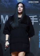 張惠妹神回安那女女戀「很自然」。（記者邱榮吉/攝影）