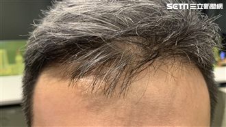 台灣1研發國外網友暴動　急喊：保護台灣