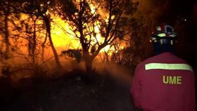 熱浪,歐洲,西班牙,加泰隆尼亞,野火（圖／翻攝自The Telegraph網頁）