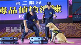 配合花火節閉幕　澎湖警歡送除役緝毒犬（2）澎湖縣警局27日晚間配合花火節閉幕式，舉辦緝毒犬「歐弟」除役歡送會，現場「歐弟」還再次展露緝毒功力，贏得滿場掌聲。中央社　108年6月27日
