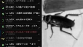 蟑螂,PTT,徵才,新興職業　圖／翻攝臉書