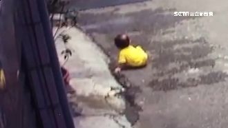1歲嬰馬路亂爬　家長竟回：大驚小怪