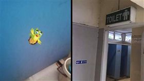 泰國廁所尋歡洞。（圖/翻攝自Coconuts  Bangkok）