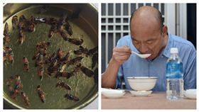 韓國瑜、隱翅蟲（組合圖）
