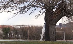 蒙特內哥羅,神木,噴水,噴泉,異相(圖/翻攝自YOUTUBE)