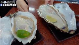 小象介紹巨無霸生蠔。（圖／小象愛出門臉書授權）