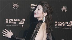 王彩樺（圖／記者邱榮吉、林士傑攝影）