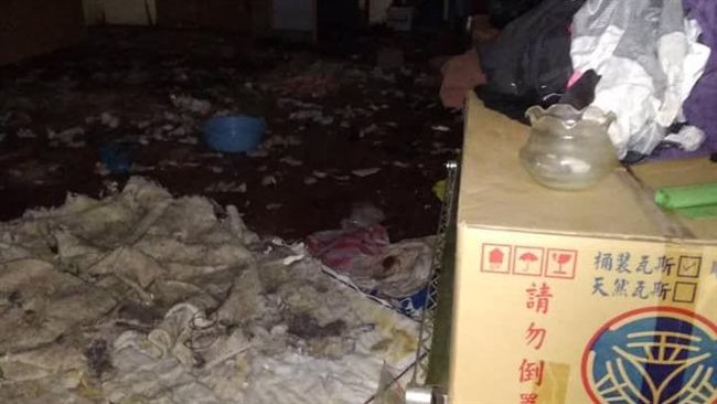 房客欠租失蹤　房東破門…像被轟炸過