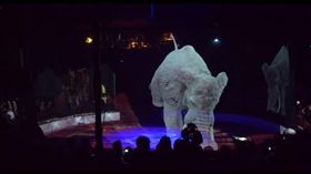 德國的馬戲團「Roncalli」。（圖／翻攝自Optoma EMEA
）