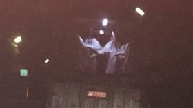 電宰豬,靈異公社,貨車,鬼差,撞鬼(圖/翻攝自靈異公社)