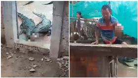 2歲女兒掉進鱷魚池！救出時只剩頭骨(圖/翻攝自臉書)