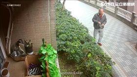 新北市，新店，老鼠藥，毒貓，流浪貓，動保法