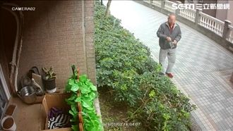 不滿社區流浪貓　管委竟自製毒餌毒貓