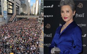 反送中／影后葉德嫻現身71遊行！舉標語訴求「撤回惡法」 （圖／民間人權陣線臉書、資料照）