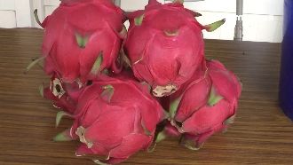 被稱「神聖之果」！火龍果旺季來了