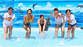 ▲遠雄海洋公園夏日海洋森巴派對（圖／遠雄海洋公園提供）