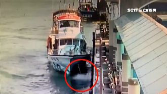 賞鯨船解說員失足墜海！乘客嚇壞了…