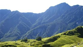 花蓮,登山,奇萊北峰,山友,受困,迷路,失足,摔斷門牙（圖／翻攝自太管處官網）