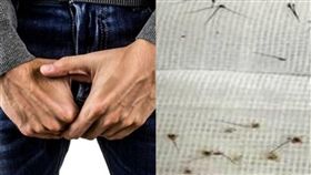 陰蝨,高雄,鳳山,按摩店（合成圖／翻攝自看看新聞；Pixabay）