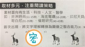 指考英文／國際化！非洲國獸長這樣 
指考英文,大考中心